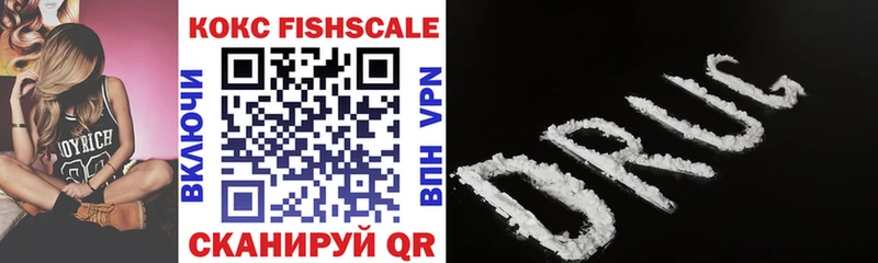 продажа наркотиков  Чишмы  OMG ТОР  Кокаин Fish Scale 