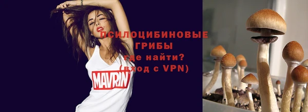 ПСИЛОЦИБИНОВЫЕ ГРИБЫ Аркадак