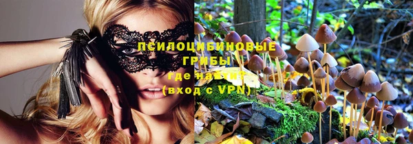 ПСИЛОЦИБИНОВЫЕ ГРИБЫ Аркадак