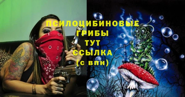 молекула духа Армянск
