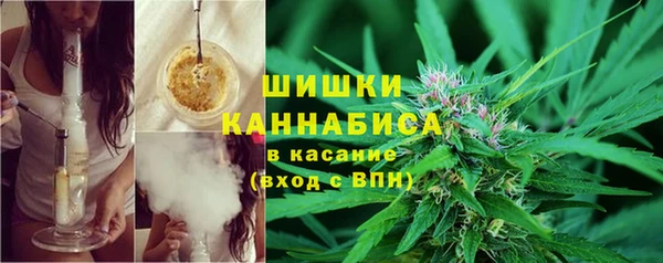 ПСИЛОЦИБИНОВЫЕ ГРИБЫ Аркадак
