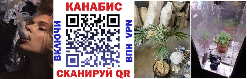 Бошки Шишки Bruce Banner  купить наркотик  Чишмы 
